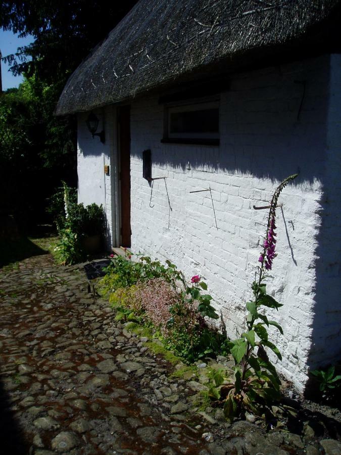 Stable Cottage Devizes Buitenkant foto